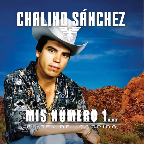 El Rey del Corrido: ¿La música que refleja violencia o identidad cultural?